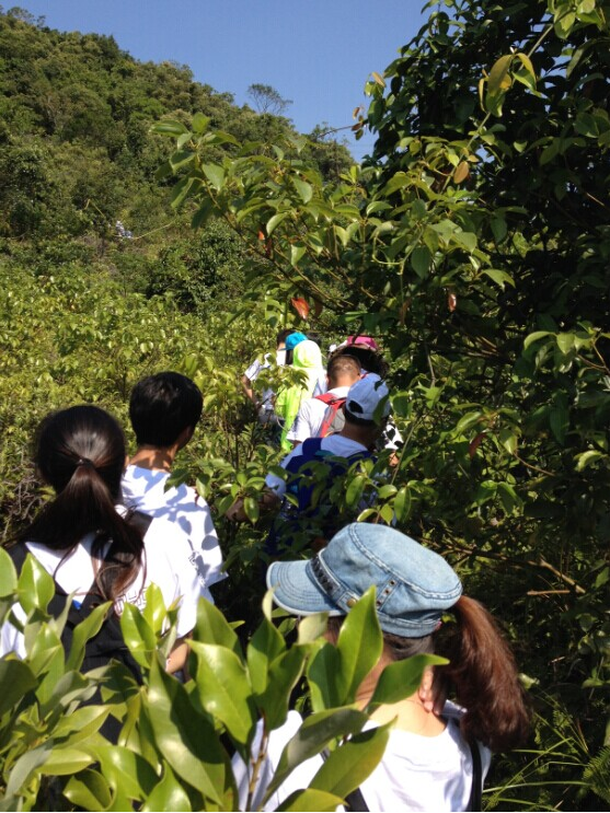 “心港灣、新征途”－招商港灣集團(tuán)馬巒山徒步活動(dòng)-