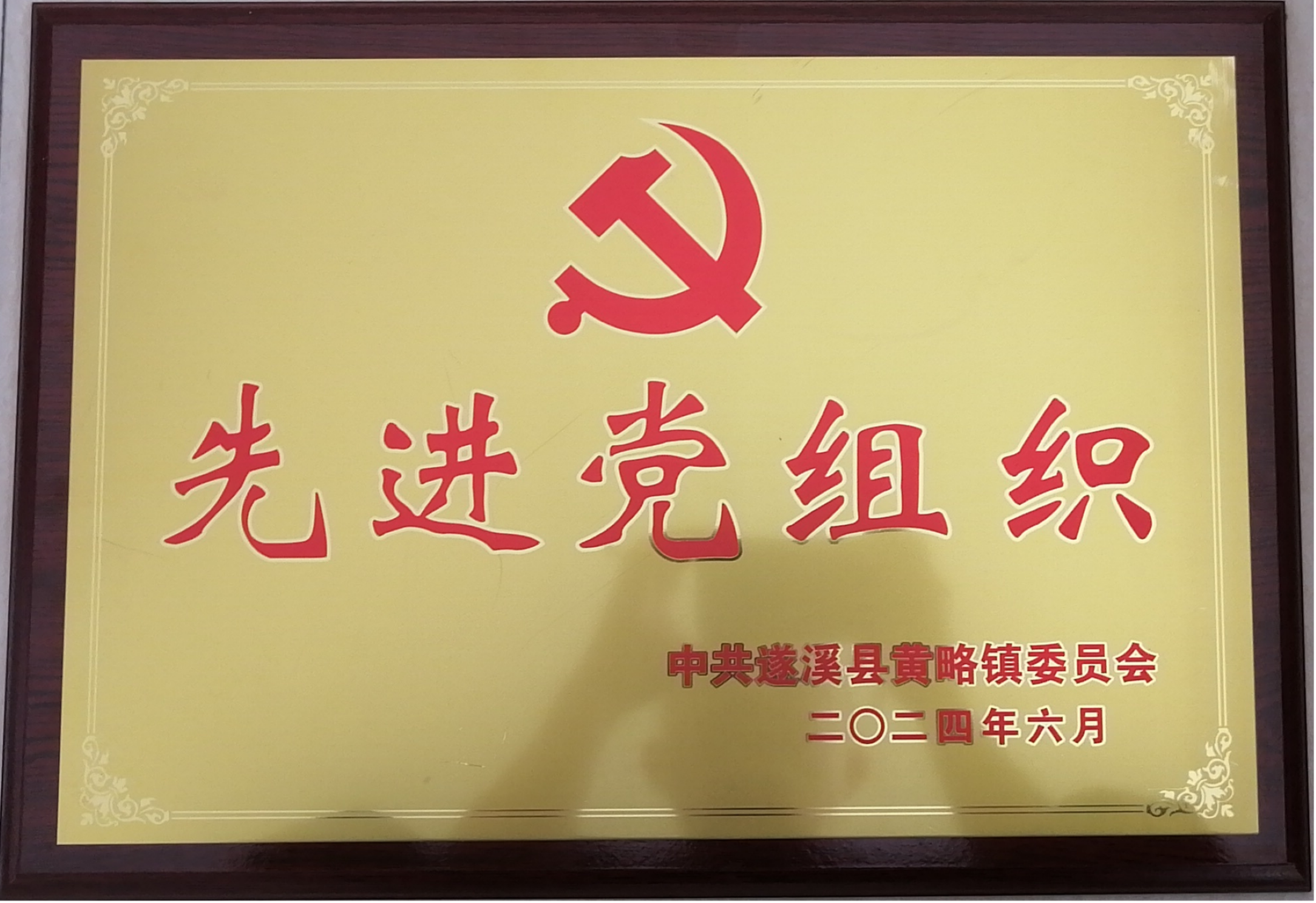 湛江港創(chuàng)公司支委會(huì)榮獲“先進(jìn)黨組織”稱(chēng)號(hào)